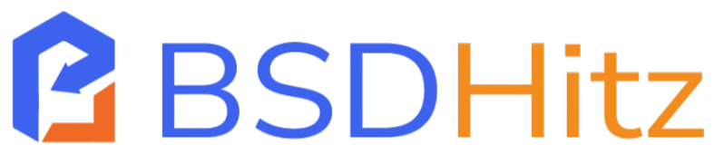 BSDHitz logo