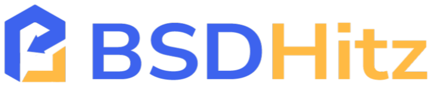 BSDHitz logo