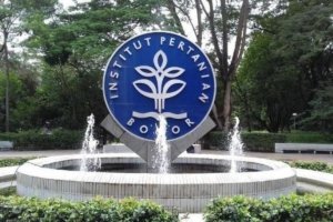 kompas.com