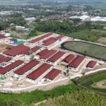Peminat Membludak, Pendaftar Sekolah Rakyat Tembus 48 Ribu Siswa